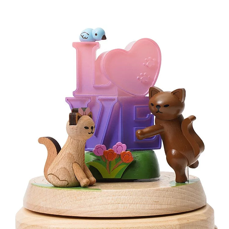 Lovely cats قطط رائعة