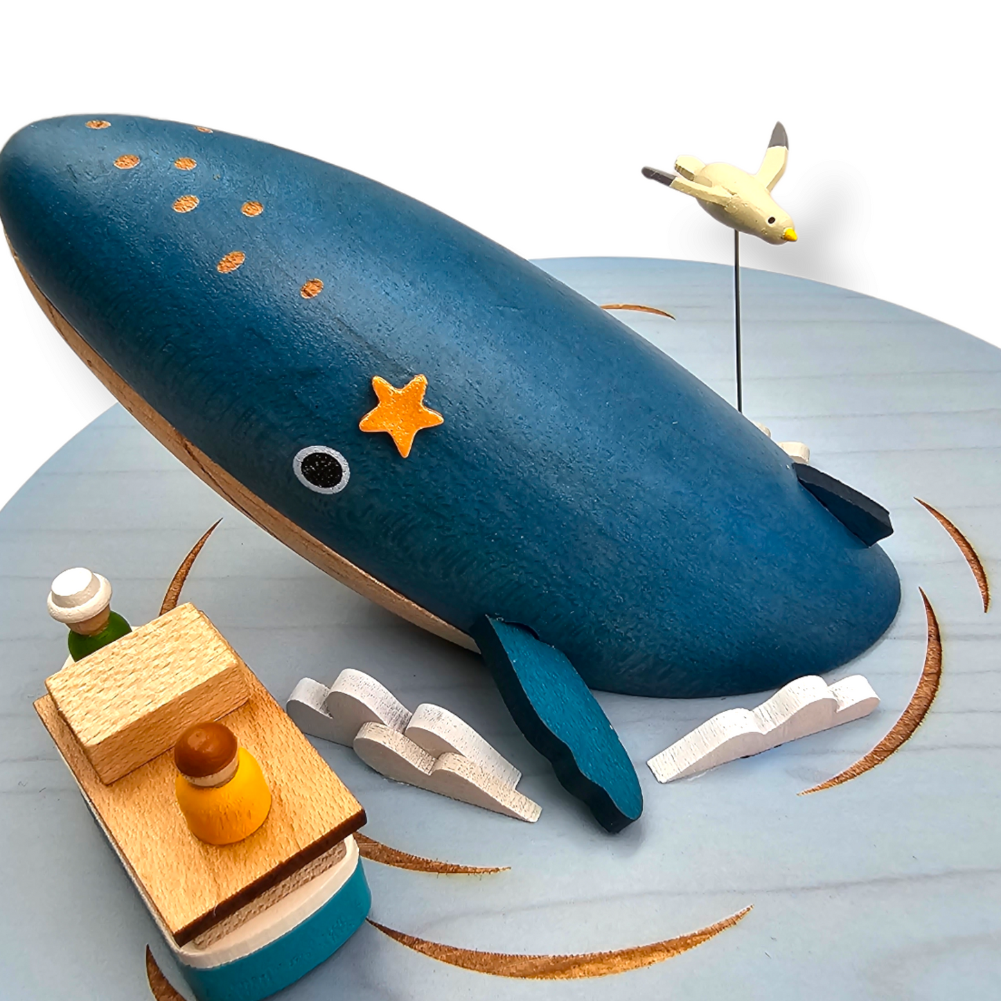 Whale Watching مشاهدة الحيتان