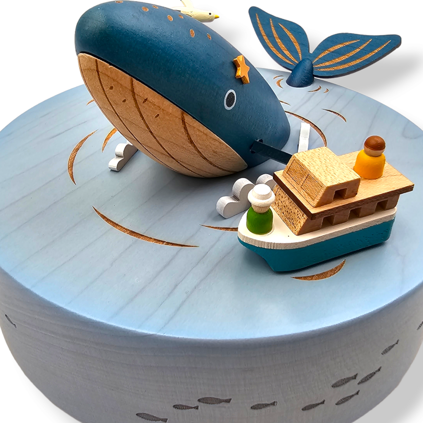 Whale Watching مشاهدة الحيتان