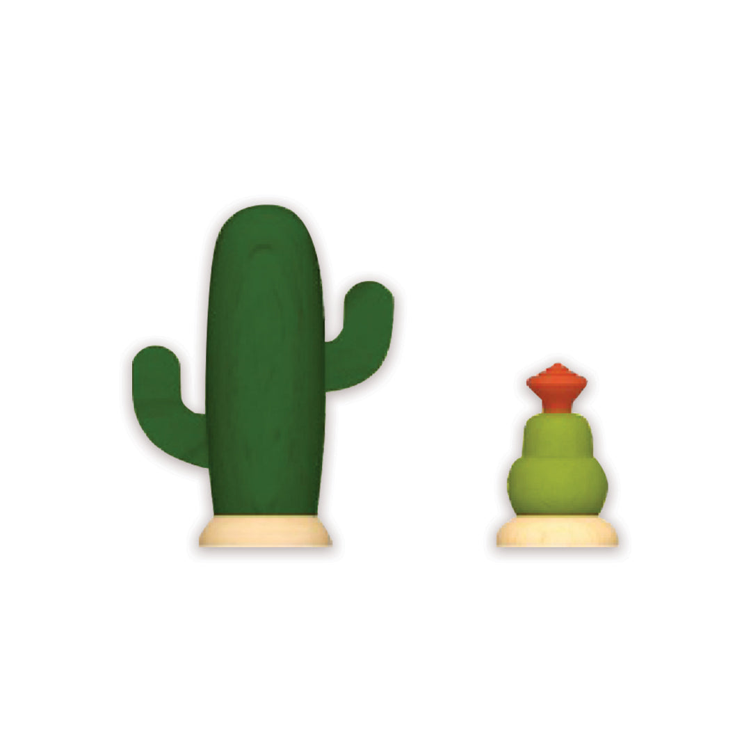 Cactus نبتة الصبار