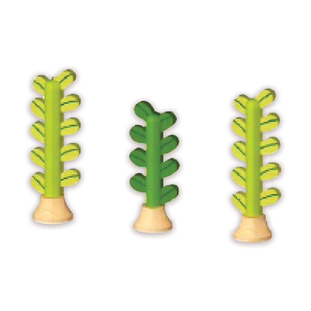 Equisetum اكويستوم