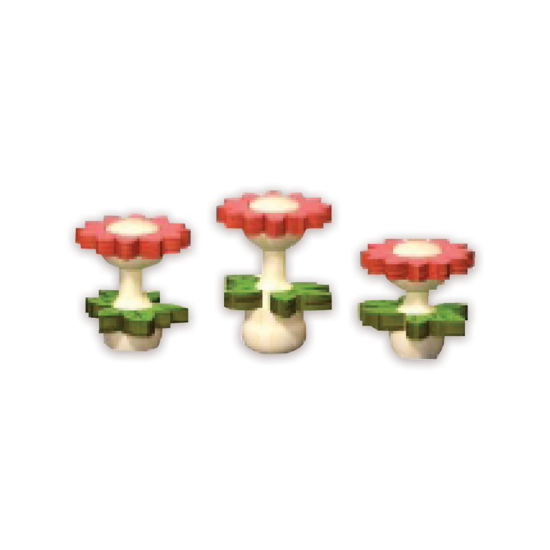 Red Chrysanthemum أقحوان أحمر